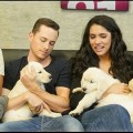 De nouvelles recrues OneChicago?