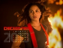 Chicago Fire | Chicago Med Les Calendriers 2013 