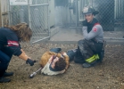 Chicago Fire | Chicago Med 308 - Behind the scene 