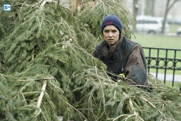 Stella Kidd (Miranda Rae Mayo) s'occupe de l'arbre